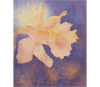 William Winden watercolor thumbnail